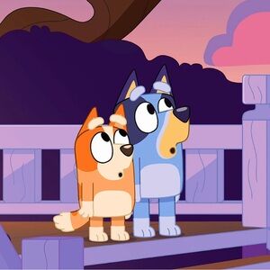 Meet your Posher, Jillian